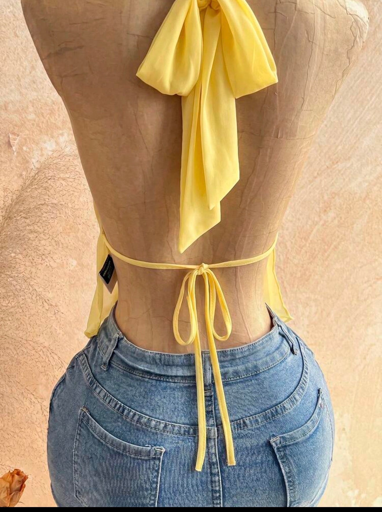 Halter Backless Summer Top