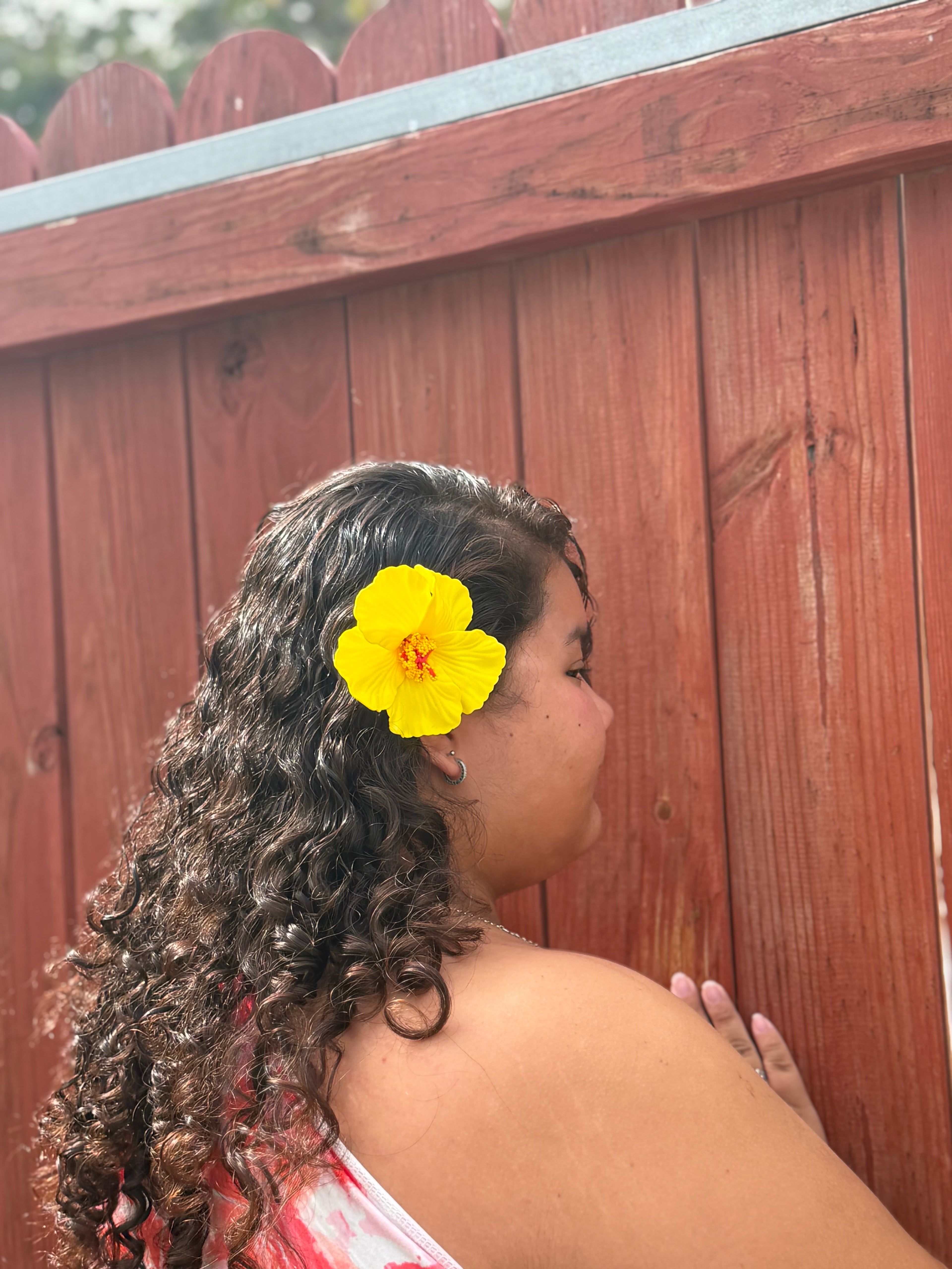 Hibiscus Clips