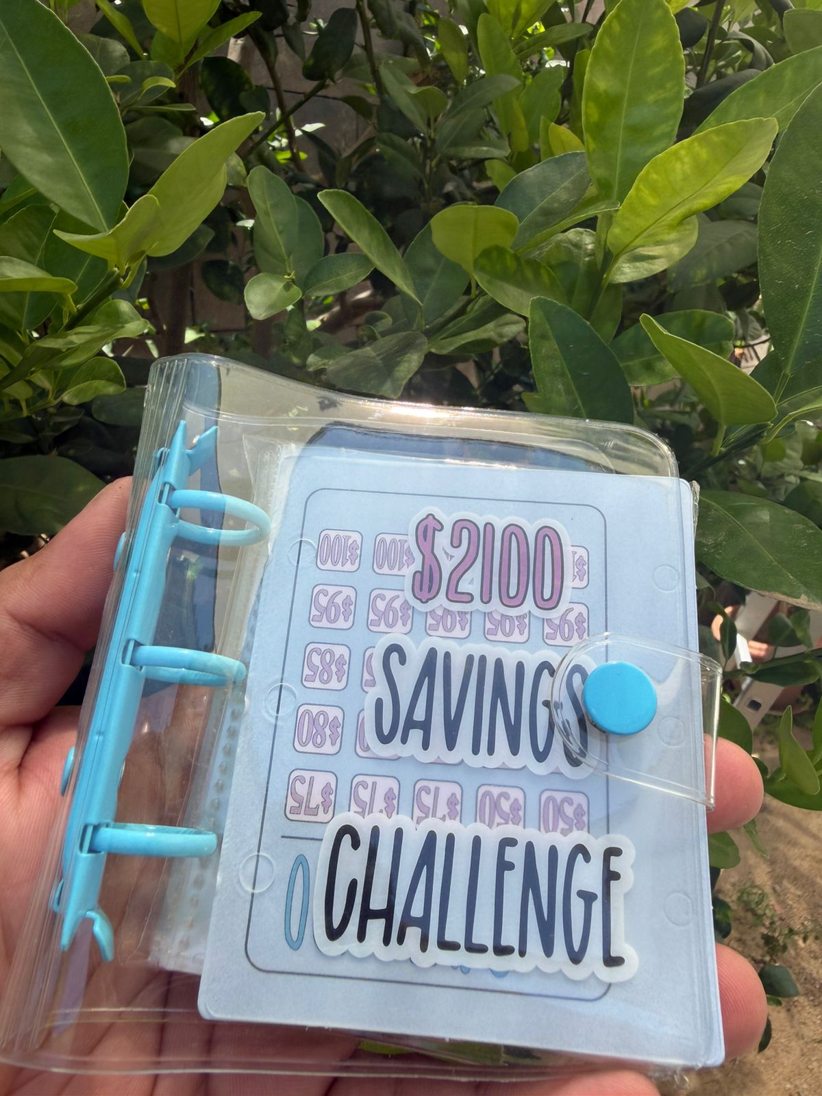 $2.1K Savings Challenge