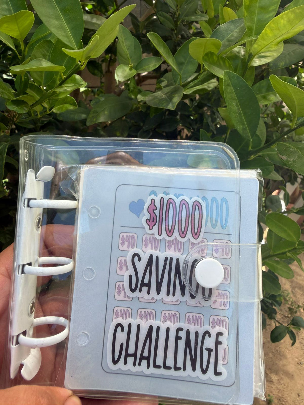 $1K Savings Challenge